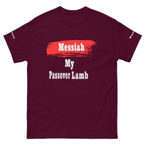 Unisex classic tee